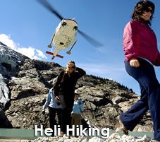 Heli Hiking near Banff National Park