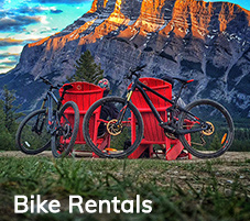 Bike Rentals